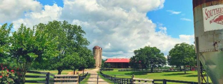 Southern Belle Farm LLC